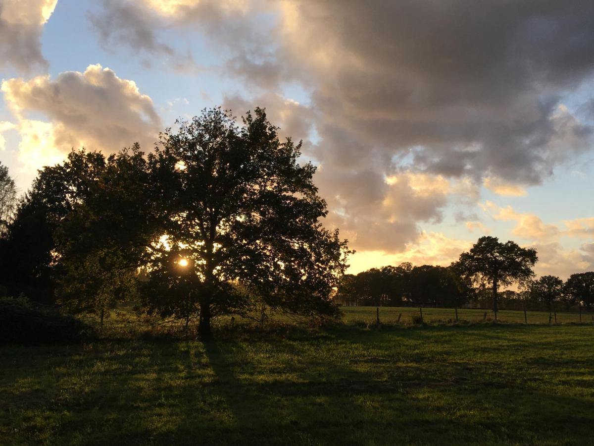 Vakantiewoning Pelterheggen Grote Heide 外观 照片