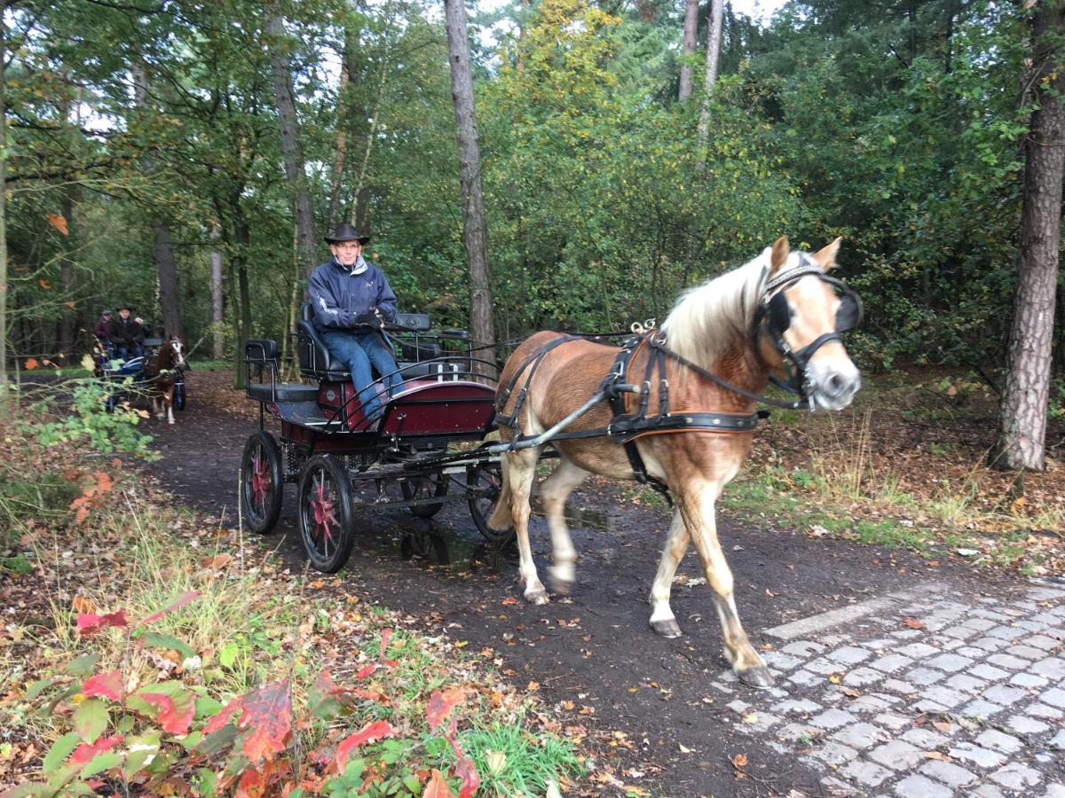 Vakantiewoning Pelterheggen Grote Heide 外观 照片
