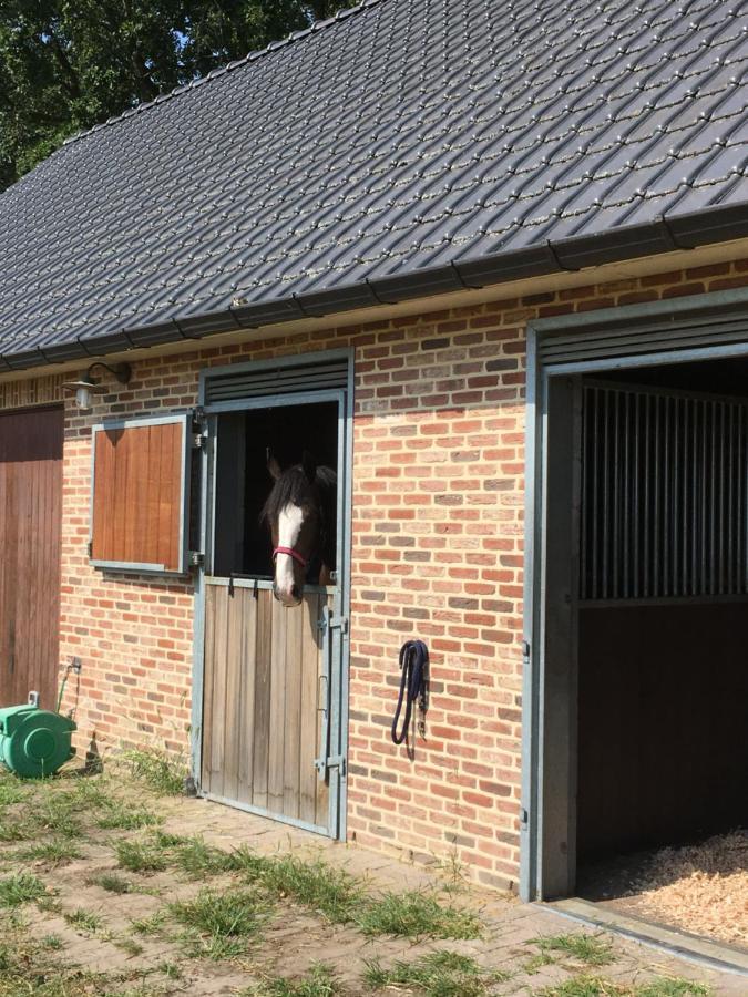 Vakantiewoning Pelterheggen Grote Heide 外观 照片