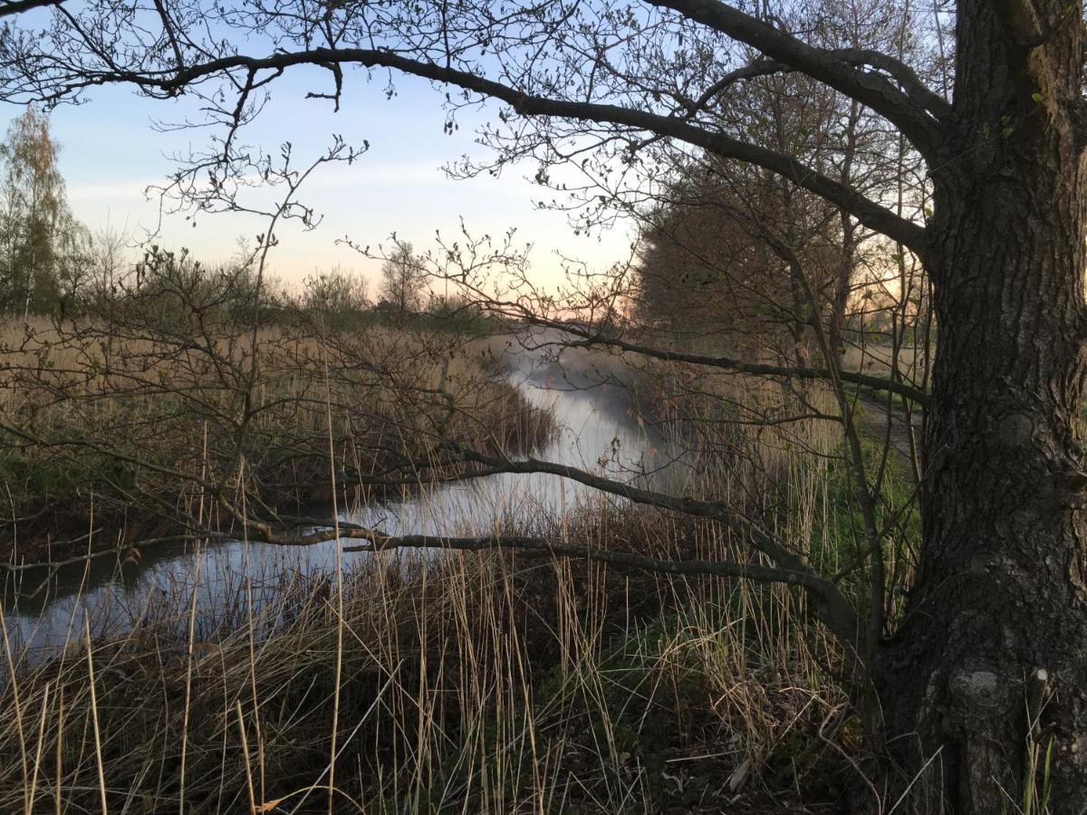 Vakantiewoning Pelterheggen Grote Heide 外观 照片