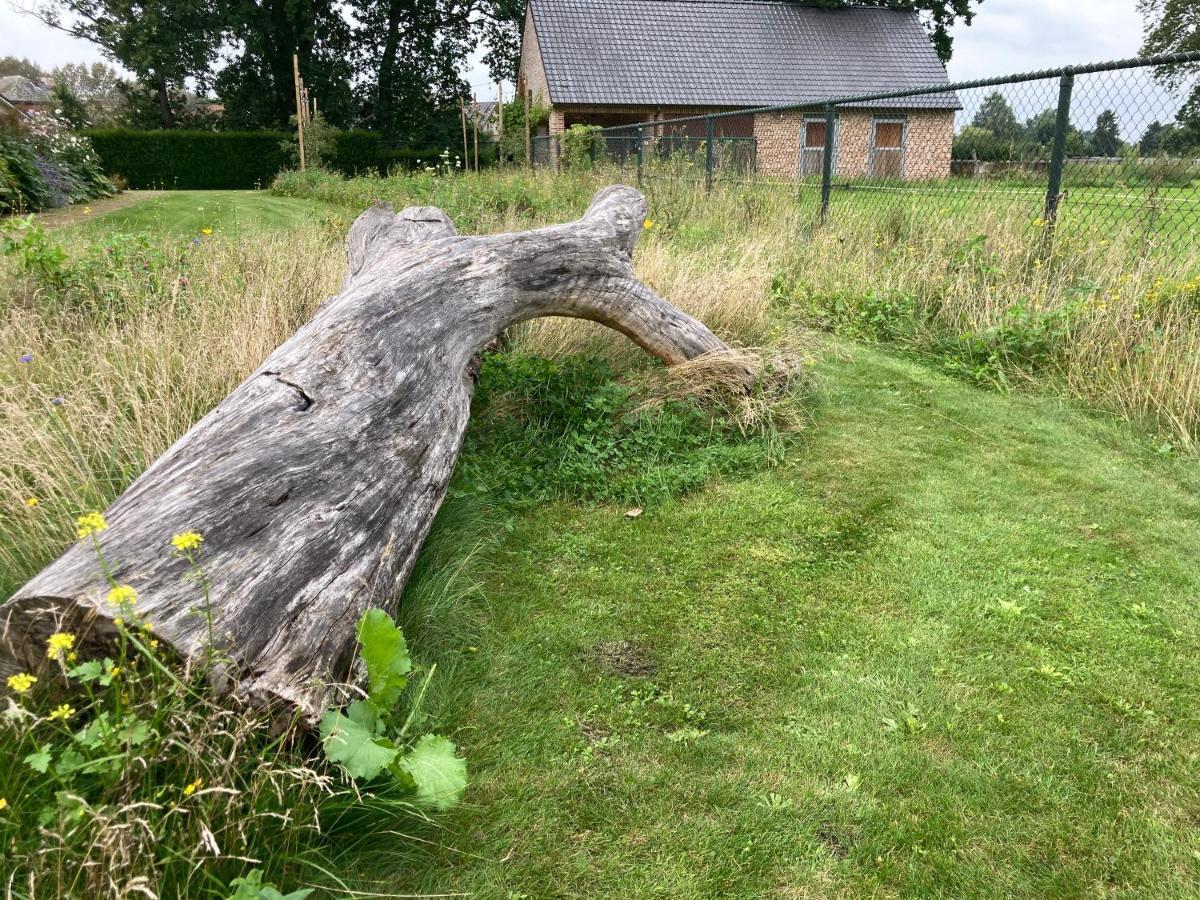 Vakantiewoning Pelterheggen Grote Heide 外观 照片